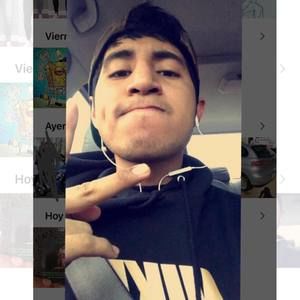 Meet your Posher, Hansel